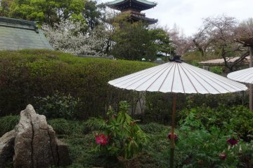 You can even catch glimpses of the park's five story pagoda from the end of the garden