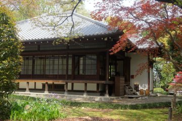 <p>The garden is only open in the spring, but a few maple trees seem to retain their red leaves year round</p>