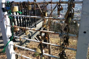 <p>Some of the locks which have been growing in number since 2006</p>