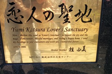 <p>The sign is so shiny, you can see your reflection</p>