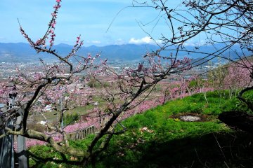 <p>The distant mountains were capped with snow</p>