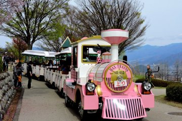 <p>One of two trains to transport visitors around the park</p>