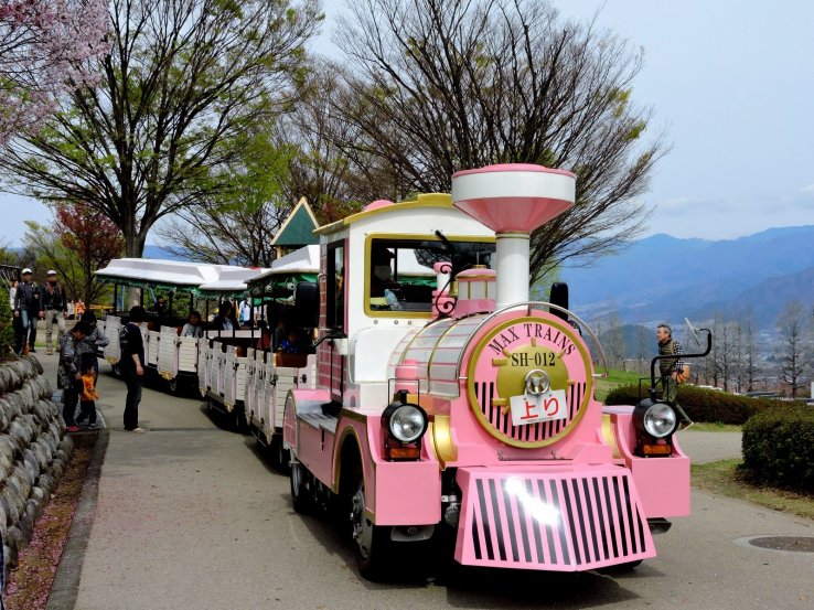 <p>One of two trains to transport visitors around the park</p>