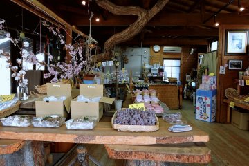 <p>The small store nearby had grapes in spring!</p>