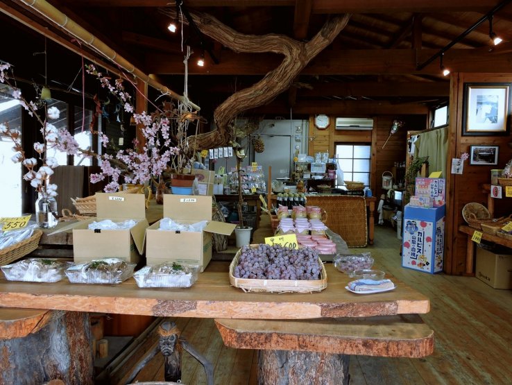 <p>The small store nearby had grapes in spring!</p>