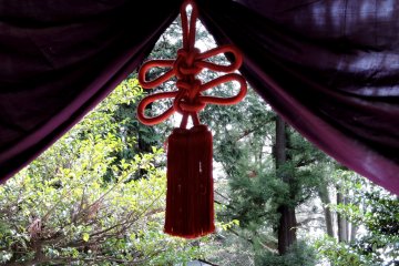 Ornate tassel on a purple curtain