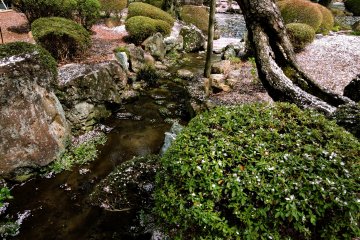 A small creek flows into the pond