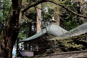 Graceful roof shapes among the trees