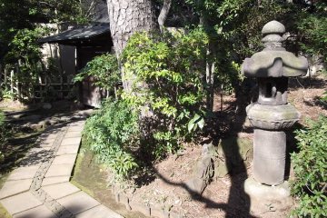 A gate and a lantern in the garden