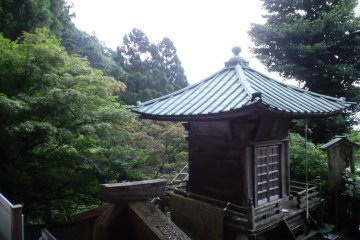 Unusual shrine roof
