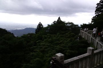 The view from Afuri Jinja