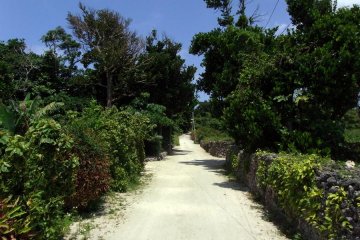<p>Une rue type dans le village Taketomi</p>