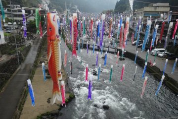 Carp Streamers at Tsuetate Onsen 2027