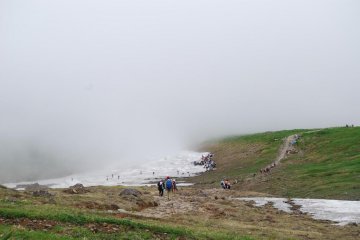 Enshrouded in fog