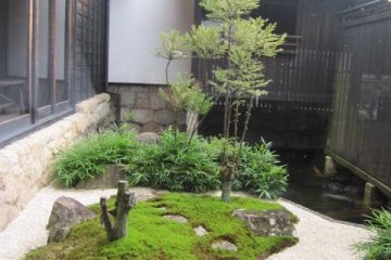 The garden which sits between the store and the brewery.