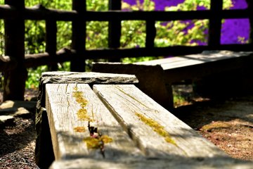 <p>Wooden benches in the park</p>