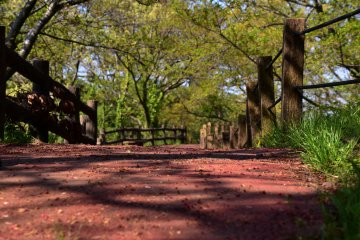 <p>A pathway leading to the observation deck</p>