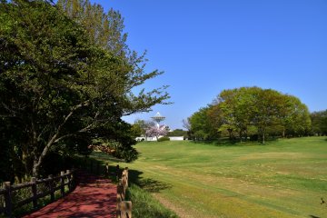 <p>Spacious green lawn beside the walking path</p>