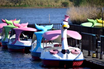<p>Dolphin and swan-shaped boats mooring at the lake</p>