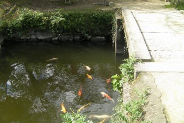 The bridge to the main building