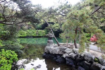 <p>The rear section of the pond, separated from the main pond</p>