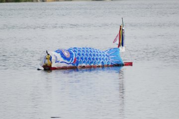 <p>One lone streamer sits in the river&nbsp;downstream</p>