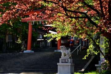 Pintu masuk Kuil Fujishima pada akhir sore hari