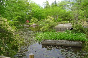 Akiu Falls Botanical Garden