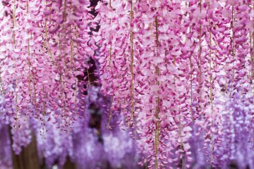 <p>Dreamy colors</p>