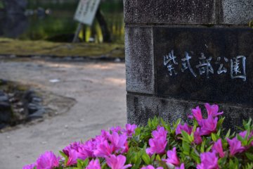 L'entrée secondaire du parc Murasaki Shikibu est sublimée par de jolies azalées roses