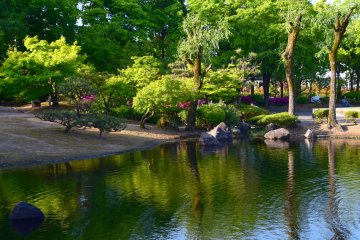 L'étang reflète le vert du parc