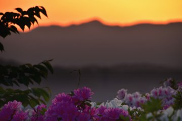 <p>Setting sun radiating an orange hue over the skyline</p>