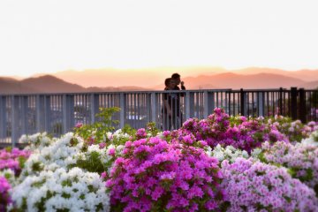 <p>A couple walking on a pedestrian bridge inside Nishiyama Park at sunset</p>