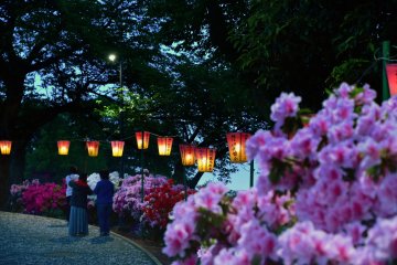 <p>People strolling along the path inside the park at twilight</p>