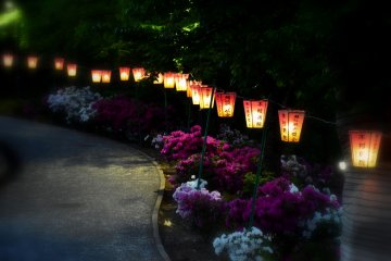 <p>Dimly-lit pathway in the park at night</p>