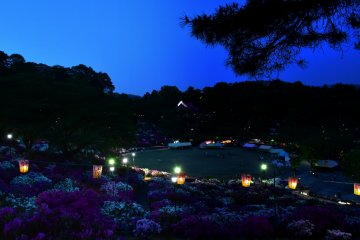 <p>After sunset, the sky turned deep blue</p>