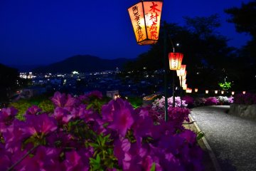 <p>City lights and illuminated park at twilight</p>