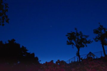 <p>Jupiter was in the sky on this night</p>