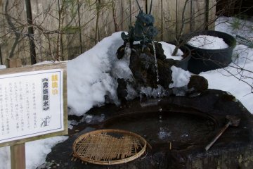 <p>Ice-covered dragon</p>