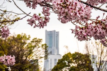 Yokohama Landmark Tower di kejauhan