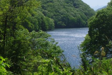 <p>It sparkles intensely in sunshine</p>