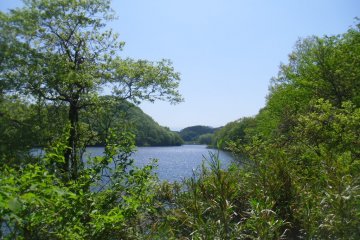 <p>There are some hiking trails, too - you might see some wildlife, but be careful of bears</p>