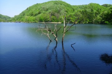 <p>Spring is a good time to visit - the weather is good and there aren't so many insects as summer</p>
