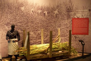 Learn about the migrants work and daily life