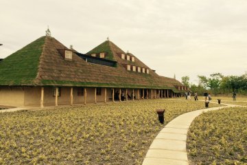 La Collina means "Hill" in Italian, giving a clue to the architect's intentions.