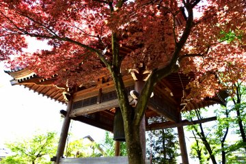<p>Belfry surrounded by fresh red and green leaves</p>