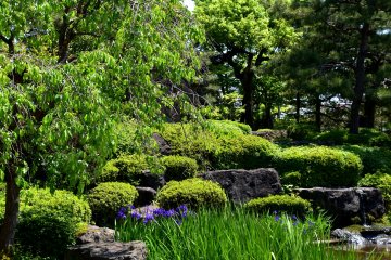 <p>Fresh verdure of the Japanese garden</p>