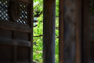 <p>Radiant green leaves seen through the wooden gate of the temple</p>