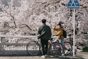 Kyoto Cycling Project