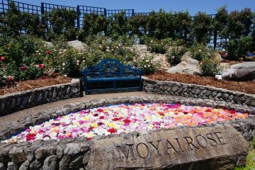 Minamata Rose Festa